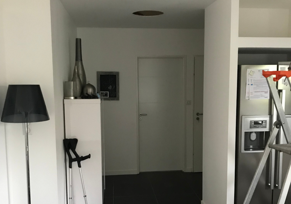 Sun Tunnel velux